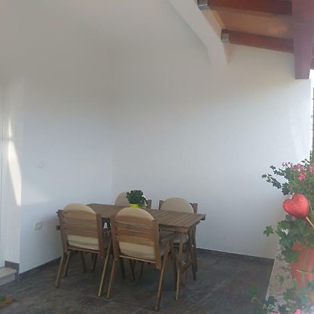 Apartment Ivana Novigrad  ภายนอก รูปภาพ