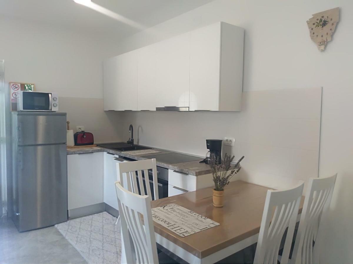 Apartment Ivana Novigrad  ภายนอก รูปภาพ