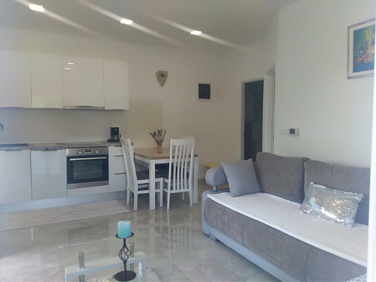 Apartment Ivana Novigrad  ภายนอก รูปภาพ