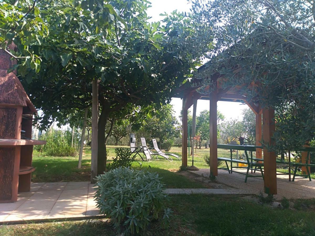 Apartment Ivana Novigrad  ภายนอก รูปภาพ